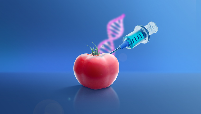 تراریخته چیست