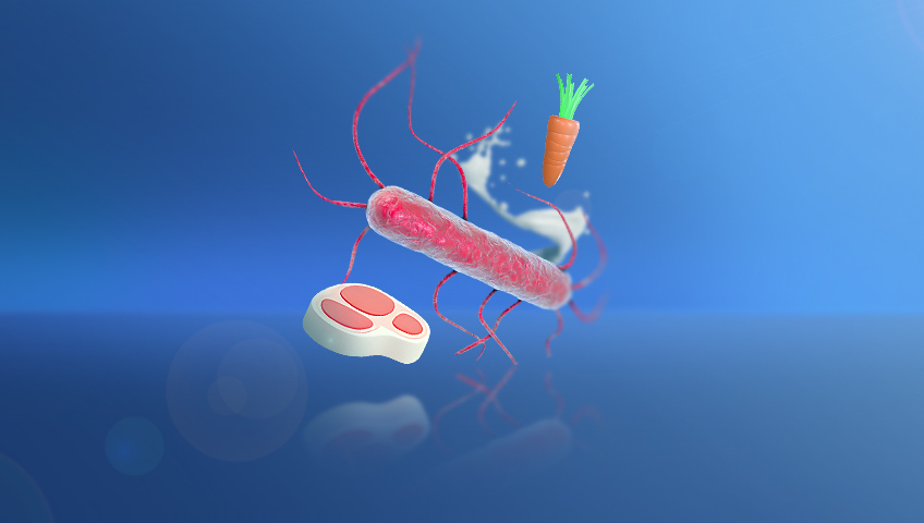 Listeria monocytogenes