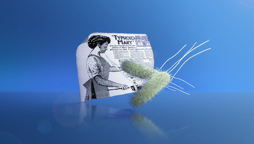 The story of Mary Mallon, the first carrier of salmonella
