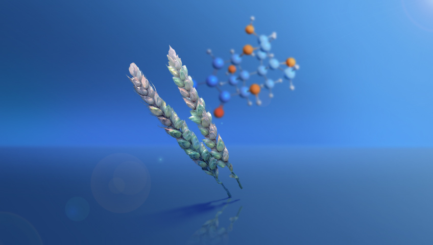 داکسی نیوالنول(Deoxynivalenol)