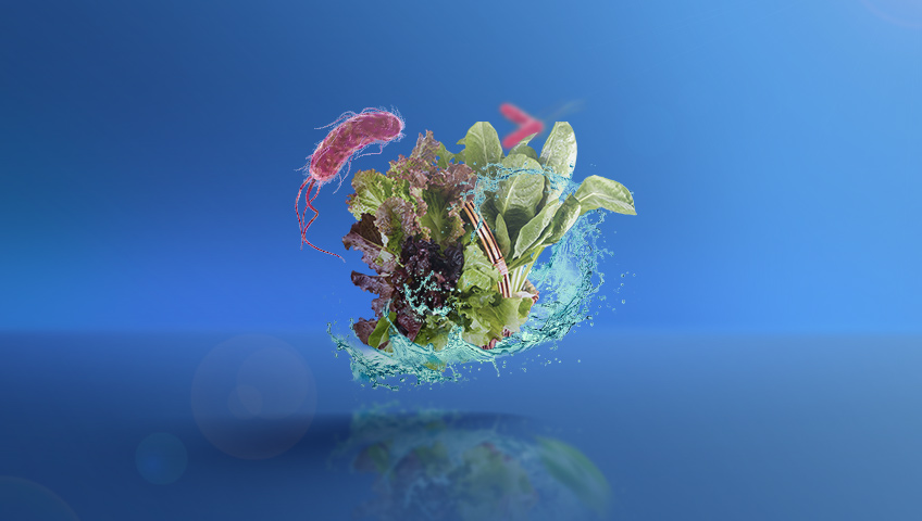 Home-Based Vegetable Sanitization