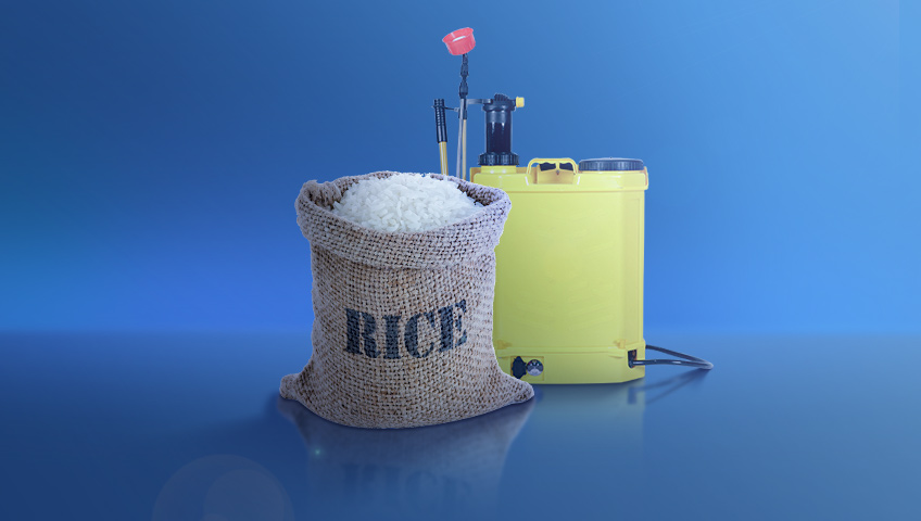 Pesticide Residues in Rice