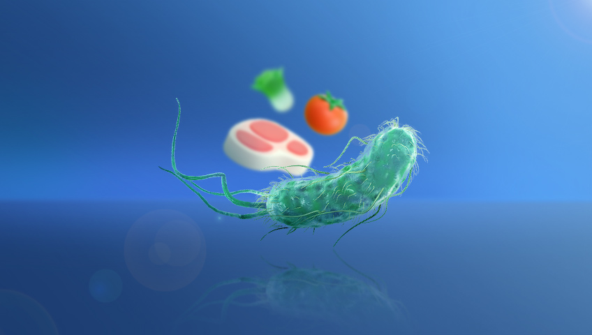 باکتری اشریشیاکلی (Escherichia coli) و راهکارهای پیشگیری از عفونت ناشی از آن