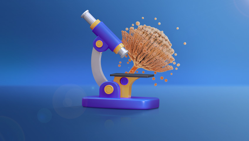 مایکوتوکسین یا سموم قارچی چیست؟