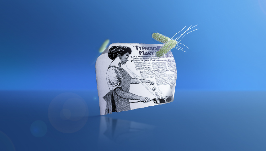 ماری مالون یا ماری حصبه