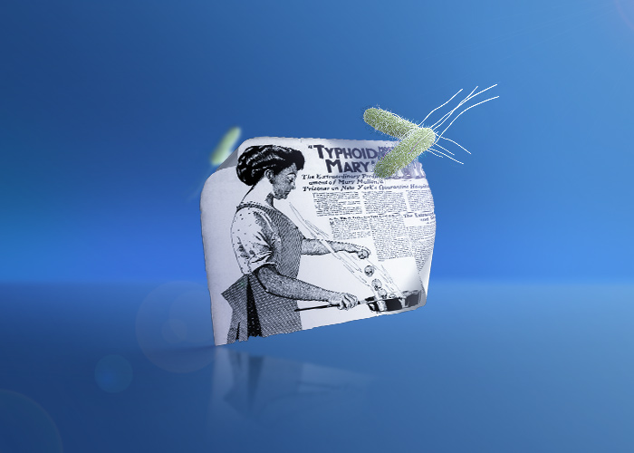 ماری مالون یا ماری حصبه