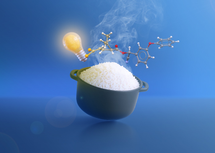 Reduce rice toxins during cooking