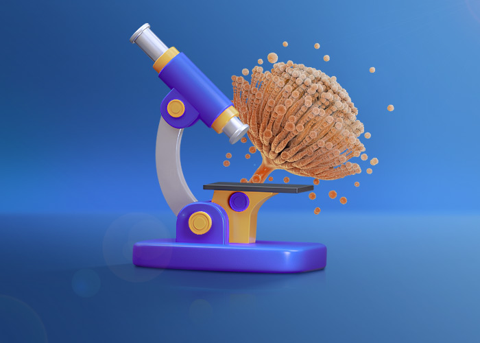 What is a mycotoxin or fungal toxin?