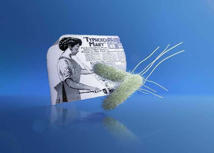 The story of Mary Mallon, the first carrier of salmonella