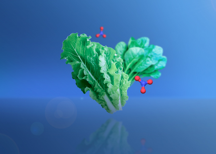 منابع ورود نیترات به بدن انسان