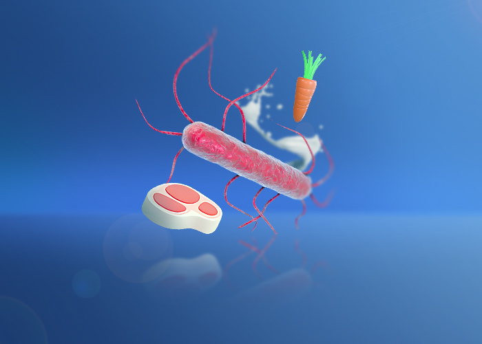 Listeria monocytogenes