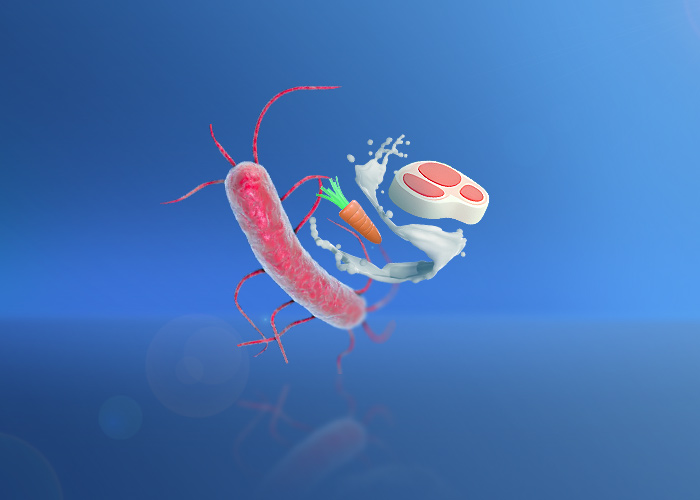 Rare but deadly bacteria in food