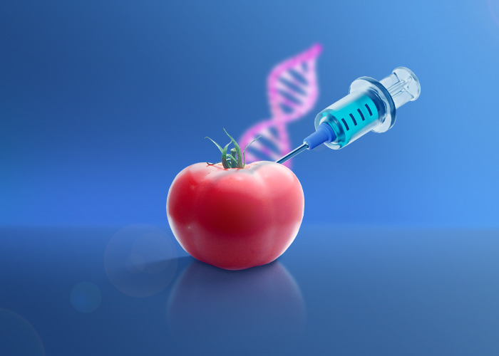 تراریخته چیست