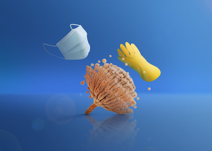 !!!مهاجرین هوایی که به انسان ها صدمه میزنند