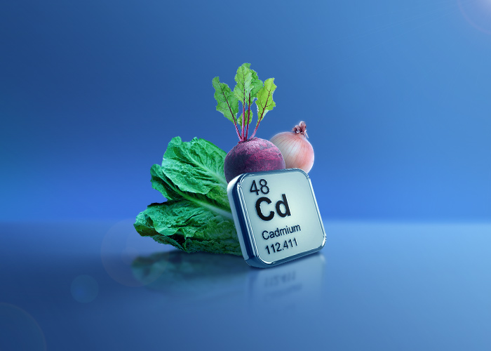 تأثیر کادمیوم بر زنان باردار