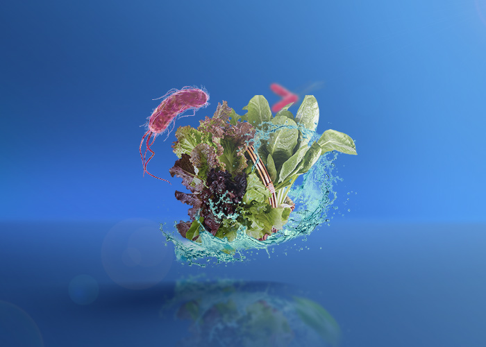 Home-Based Vegetable Sanitization