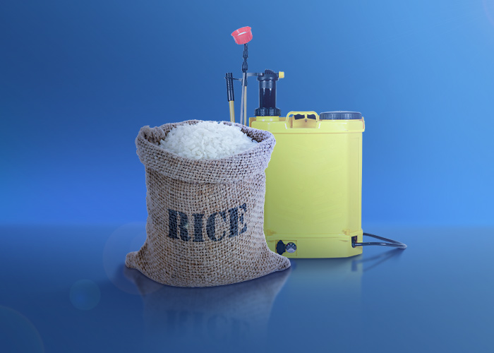 Pesticide Residues in Rice