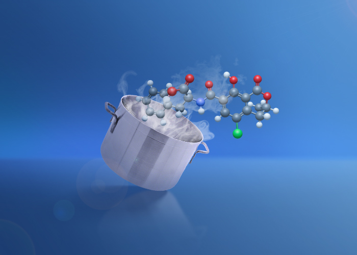 A mycotoxin that does not disappear in food even through cooking