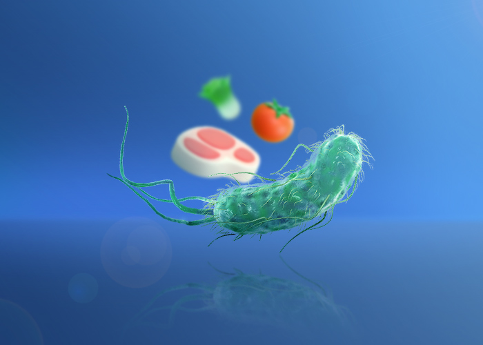 باکتری اشریشیاکلی (Escherichia coli) و راهکارهای پیشگیری از عفونت ناشی از آن