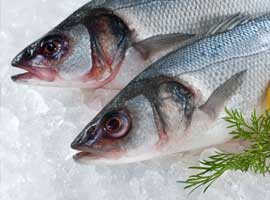 هیستامین یکی از عوامل اصلی مسمومیت با غذای دریایی